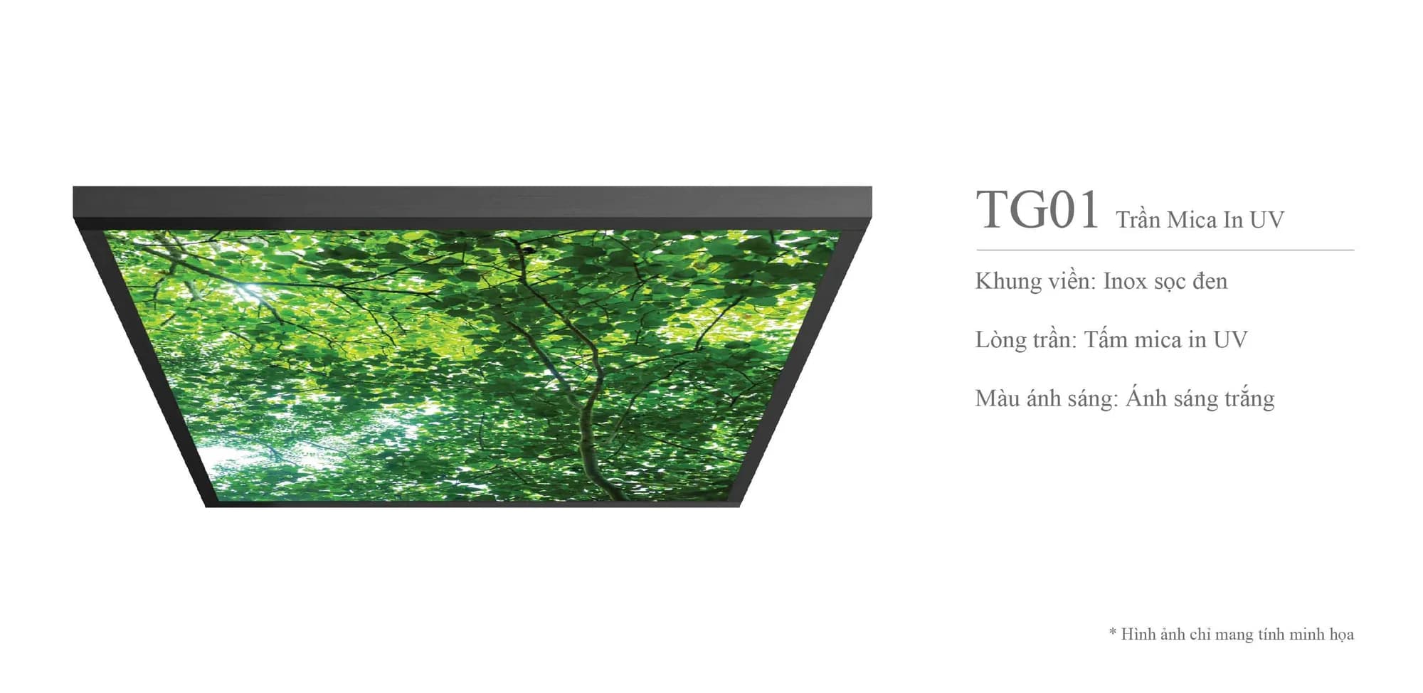 Mẫu trần mica in UV TG01 với họa tiết tán cây